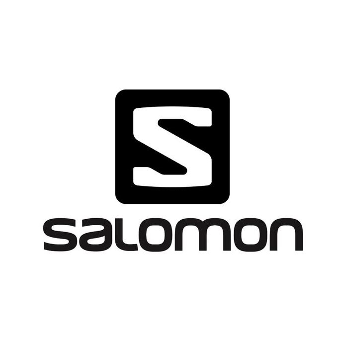 Salomon Ski